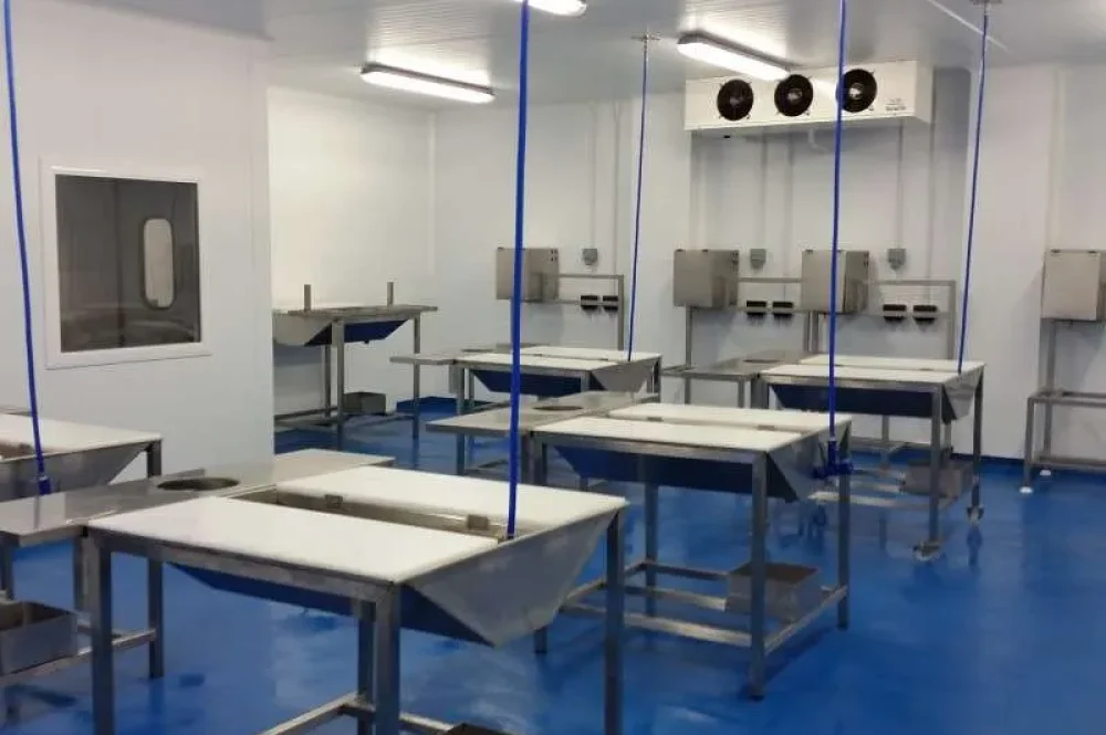 20151029_175316-800x600